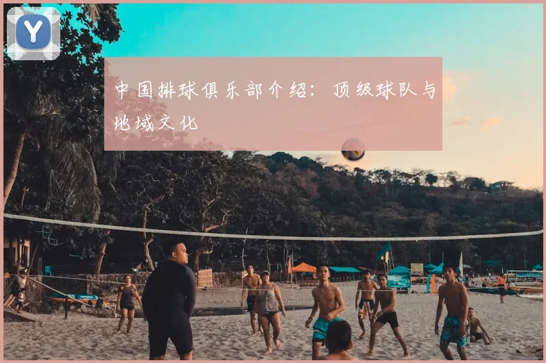 中国排球俱乐部介绍:顶级球队与地域文化